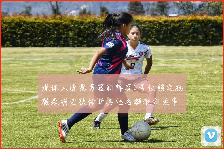 媒体人透露男篮新阵容5号位锁定杨瀚森胡金秋徐昕其他名额激烈竞争