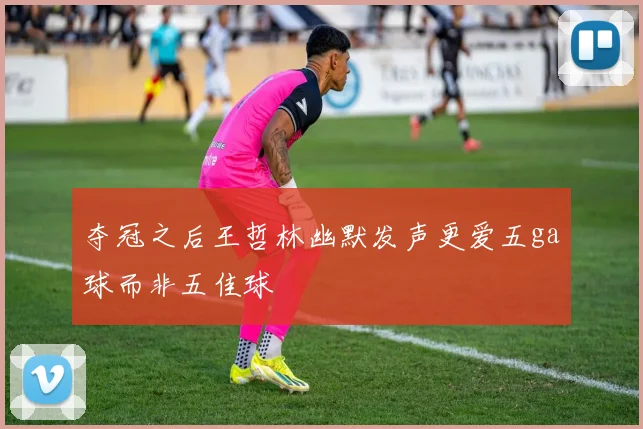 夺冠之后王哲林幽默发声更爱五ga球而非五佳球